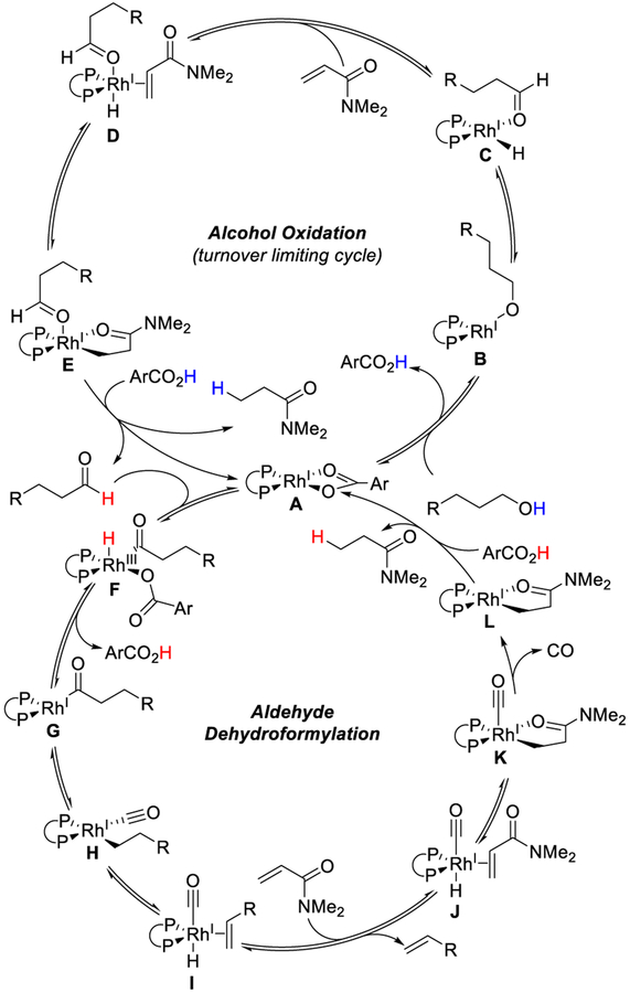 Scheme 3.