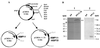 FIG. 1