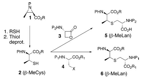 Scheme 1