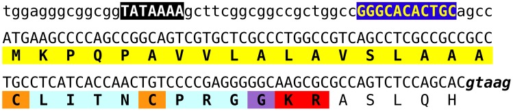 Figure 15