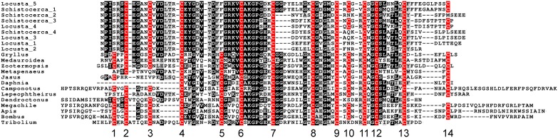 Figure 10