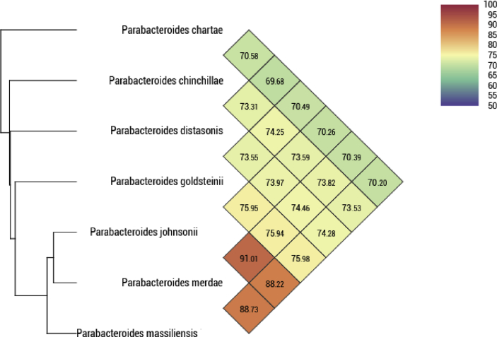 Fig. 4