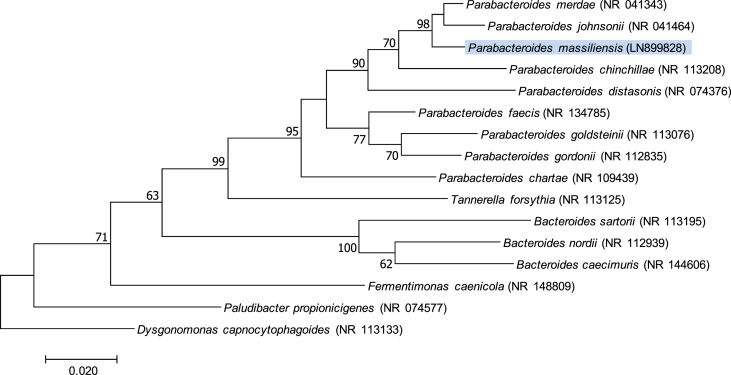 Fig. 3