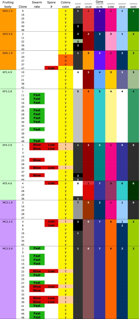 graphic file with name pnas.1100307108unt01.jpg