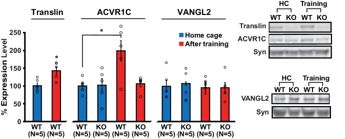 Figure 5.