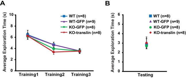 Figure 7—figure supplement 1.