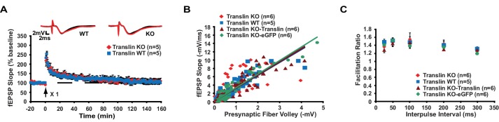 Figure 1—figure supplement 1.