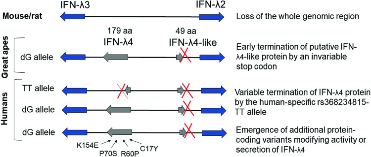 FIG. 4.