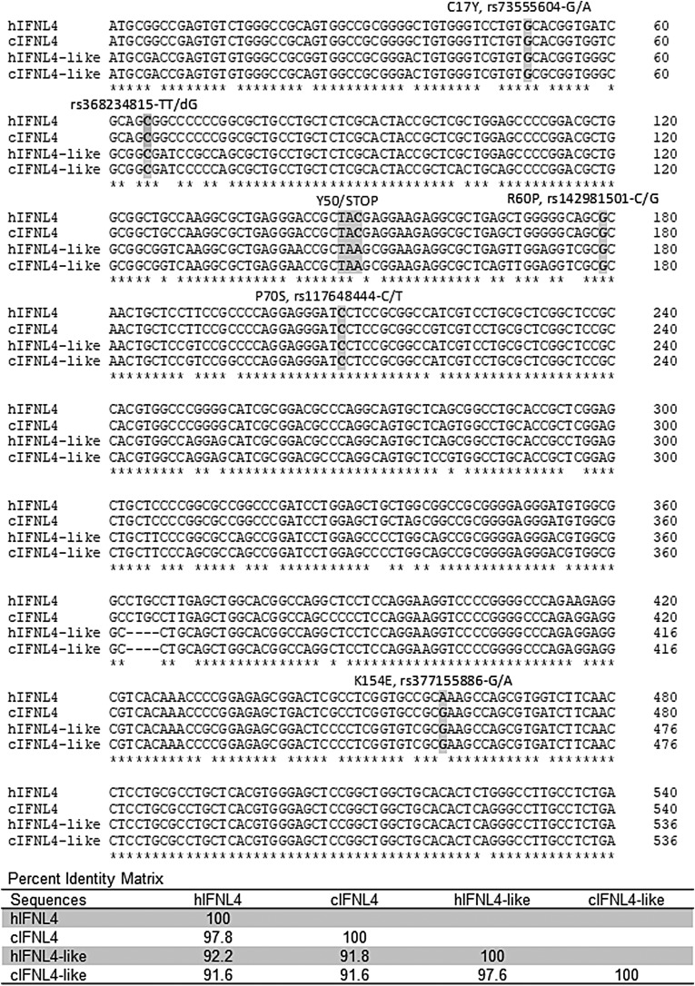 FIG. 3.