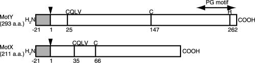 FIG. 5.