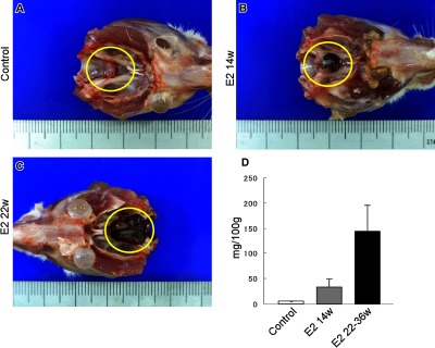 Fig. 1. 