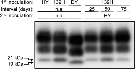 FIG 2