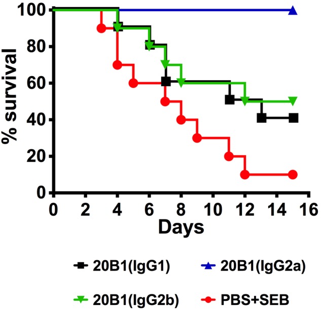 FIG 6 