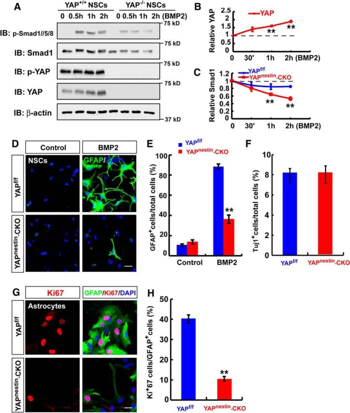 Figure 12.