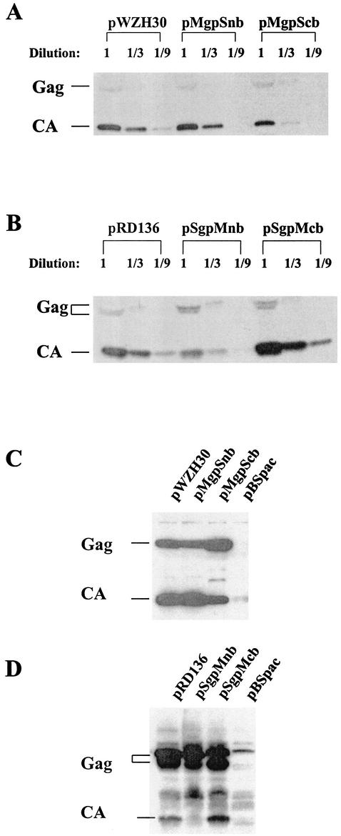 FIG. 2.