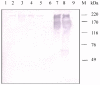 Fig 8