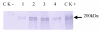 Fig 5