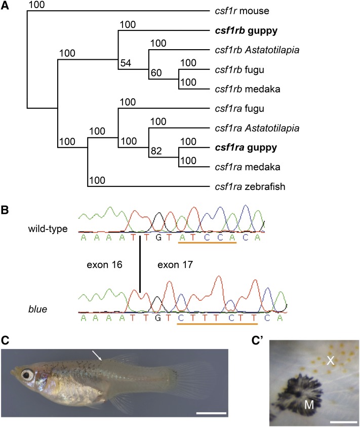 Figure 3