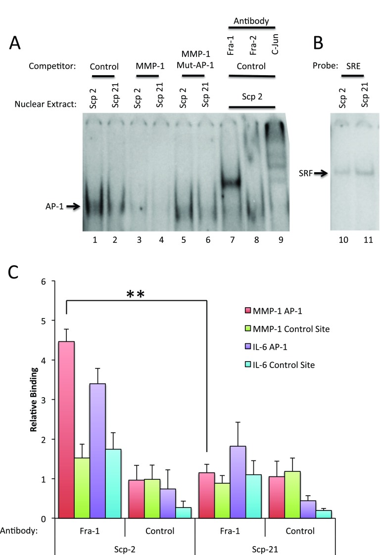 Figure 6. 