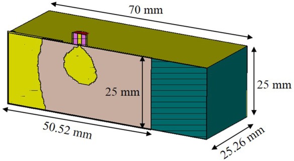 Fig. 6