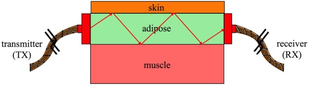 Fig. 2