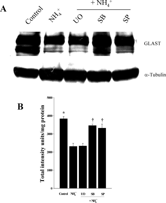 Figure 9.