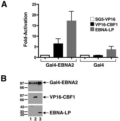 FIG. 7.