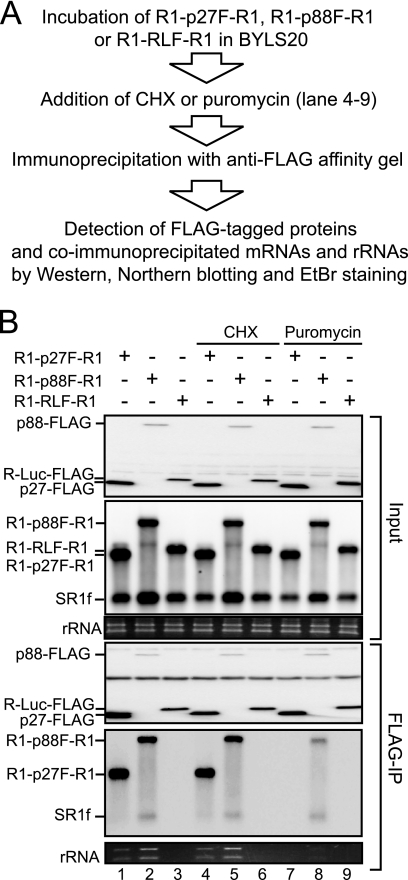 FIG. 6.