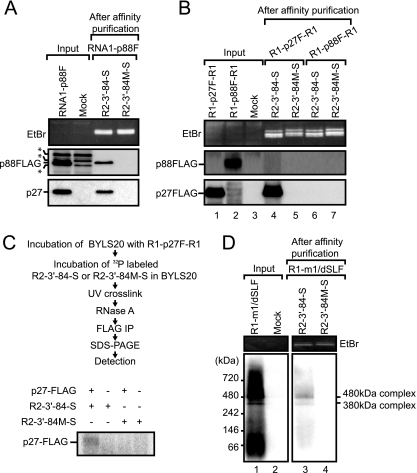 FIG. 4.