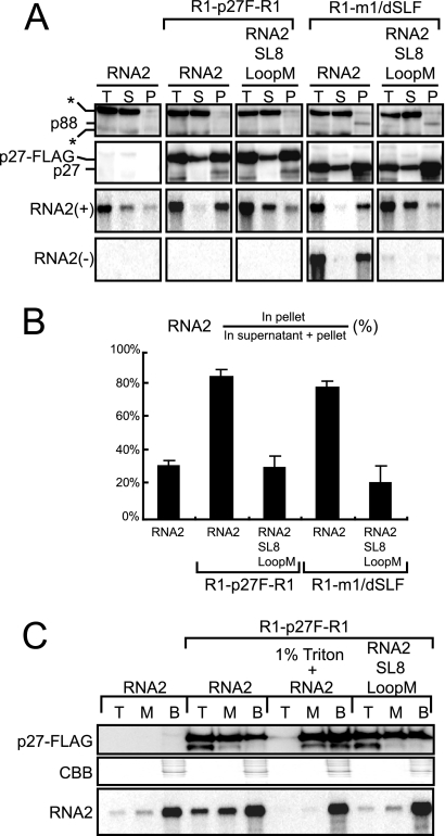 FIG. 5.