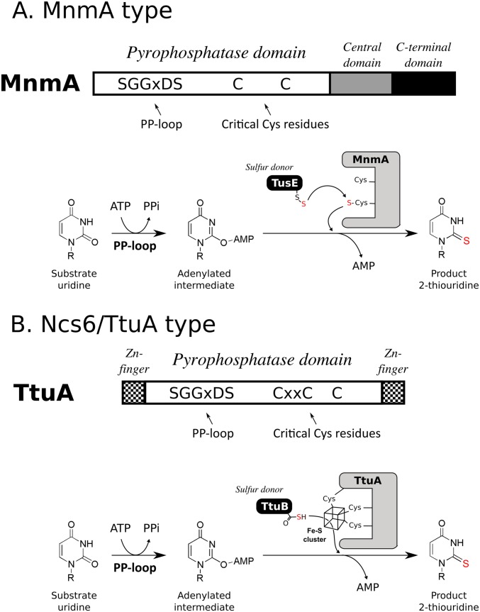 Fig. S1.