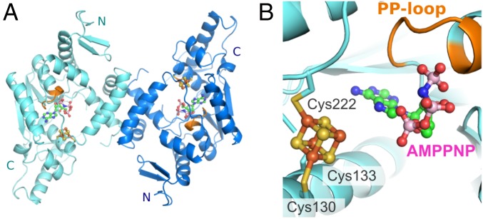 Fig. 3.