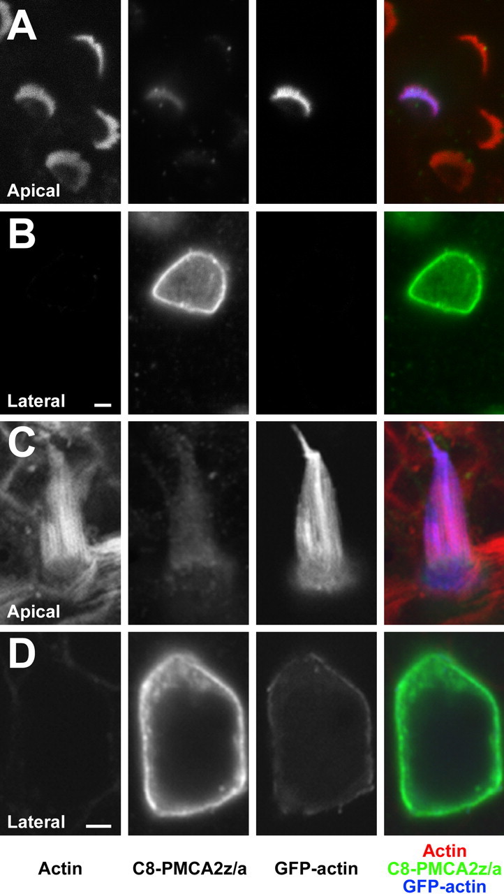 Figure 6.