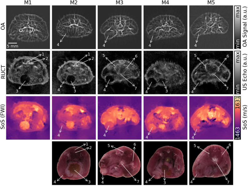 Fig 3