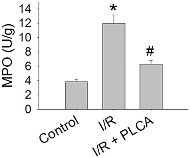 Fig 7