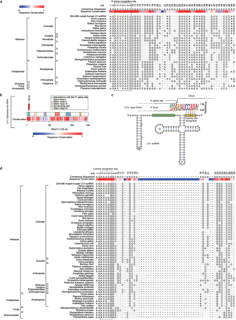 Extended Data Fig. 2. –