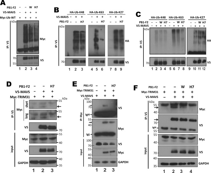 Fig 9