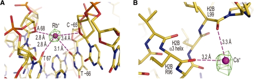 Figure 6.