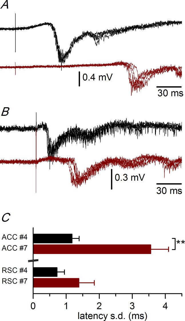 Fig 4