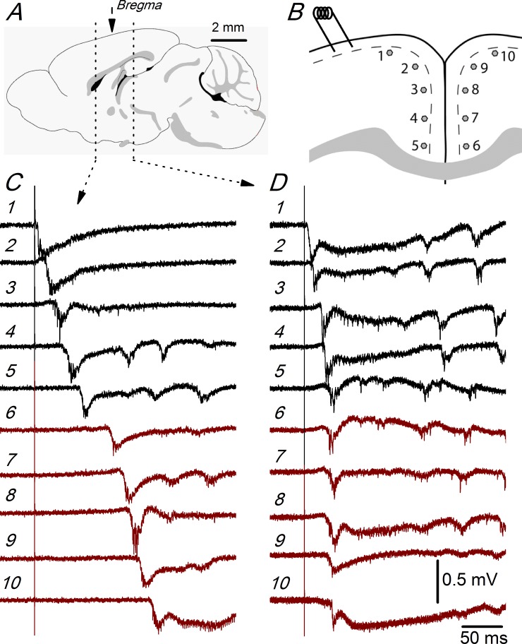 Fig 2