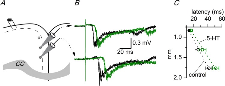 Fig 6