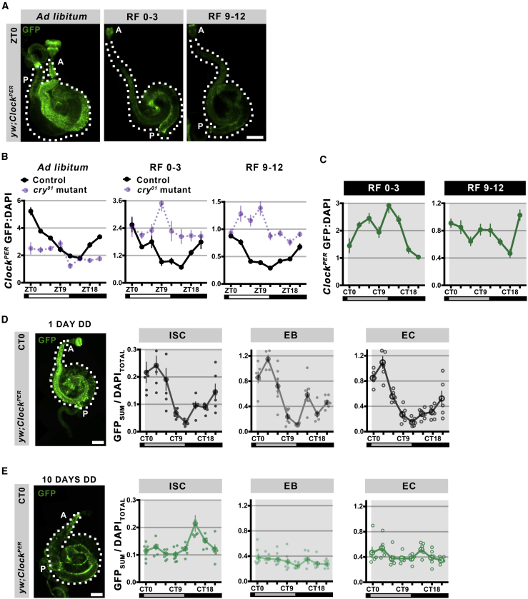 Figure 3