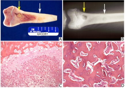 Fig. (6)