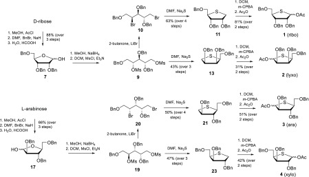 Scheme 2