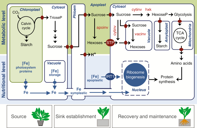 Fig. 3.