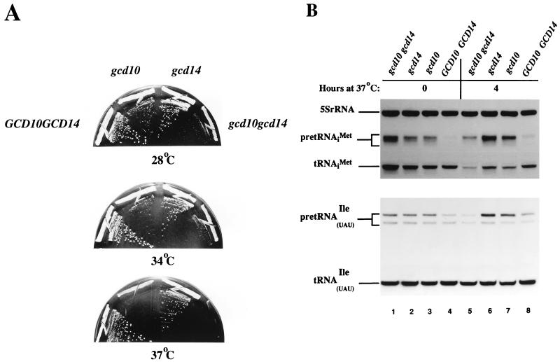 FIG. 6