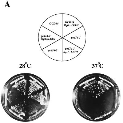 FIG. 8