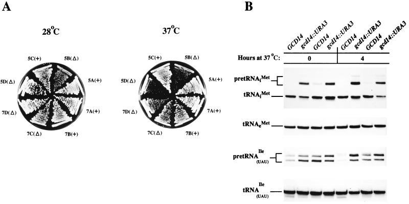FIG. 7