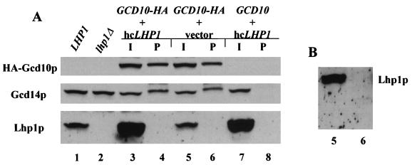 FIG. 9