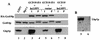 FIG. 9